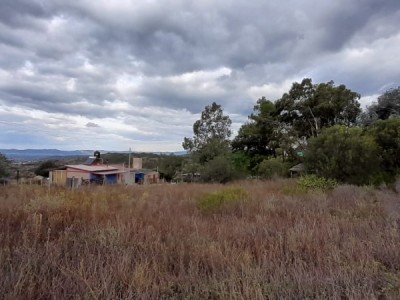 TANTI LOMAS- TANTI