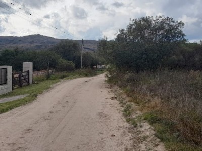 TANTI LOMAS- TANTI
