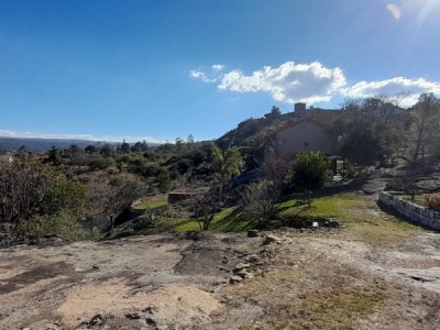 TANTI NUEVO- TANTI