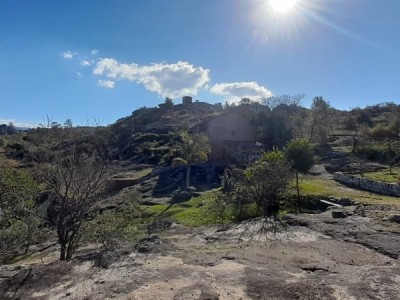 TANTI NUEVO- TANTI