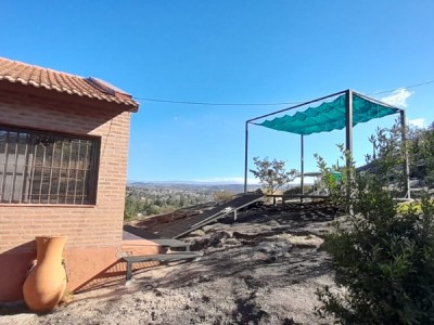 TANTI NUEVO- TANTI