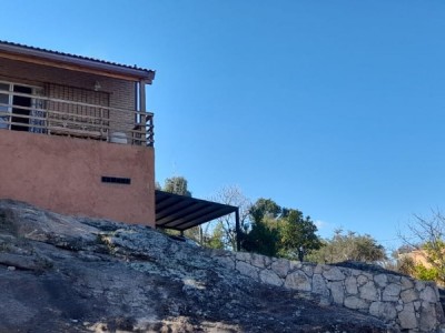TANTI NUEVO- TANTI